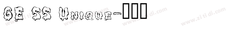 GE SS Unique字体转换
